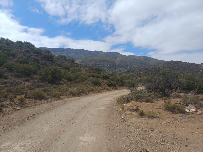 Vacant Land For Sale in Ladismith Rural, Ladismith - Photo 5