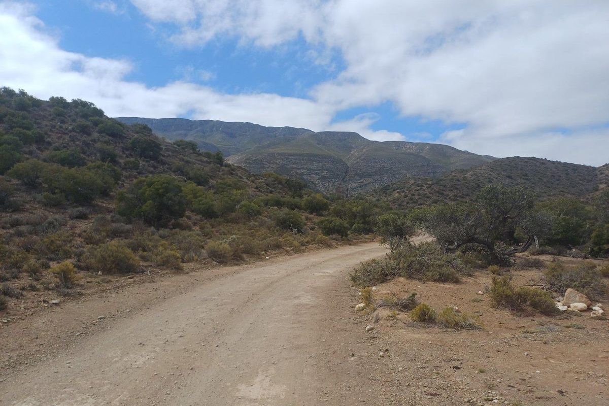 Vacant Land For Sale in Ladismith Rural, Ladismith - Photo 5