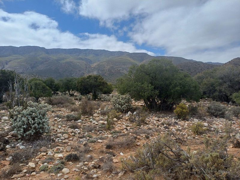 Vacant Land For Sale in Ladismith Rural, Ladismith - Photo 7