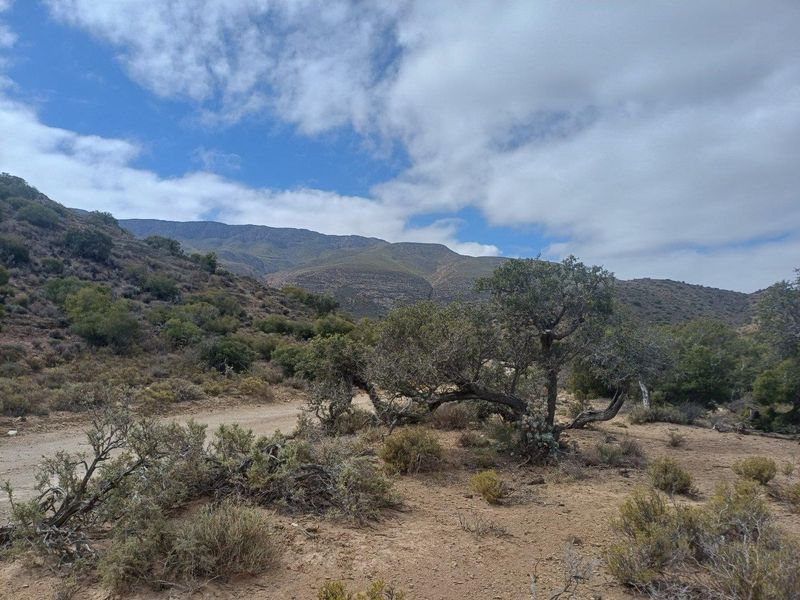 Vacant Land For Sale in Ladismith Rural, Ladismith - Photo 6