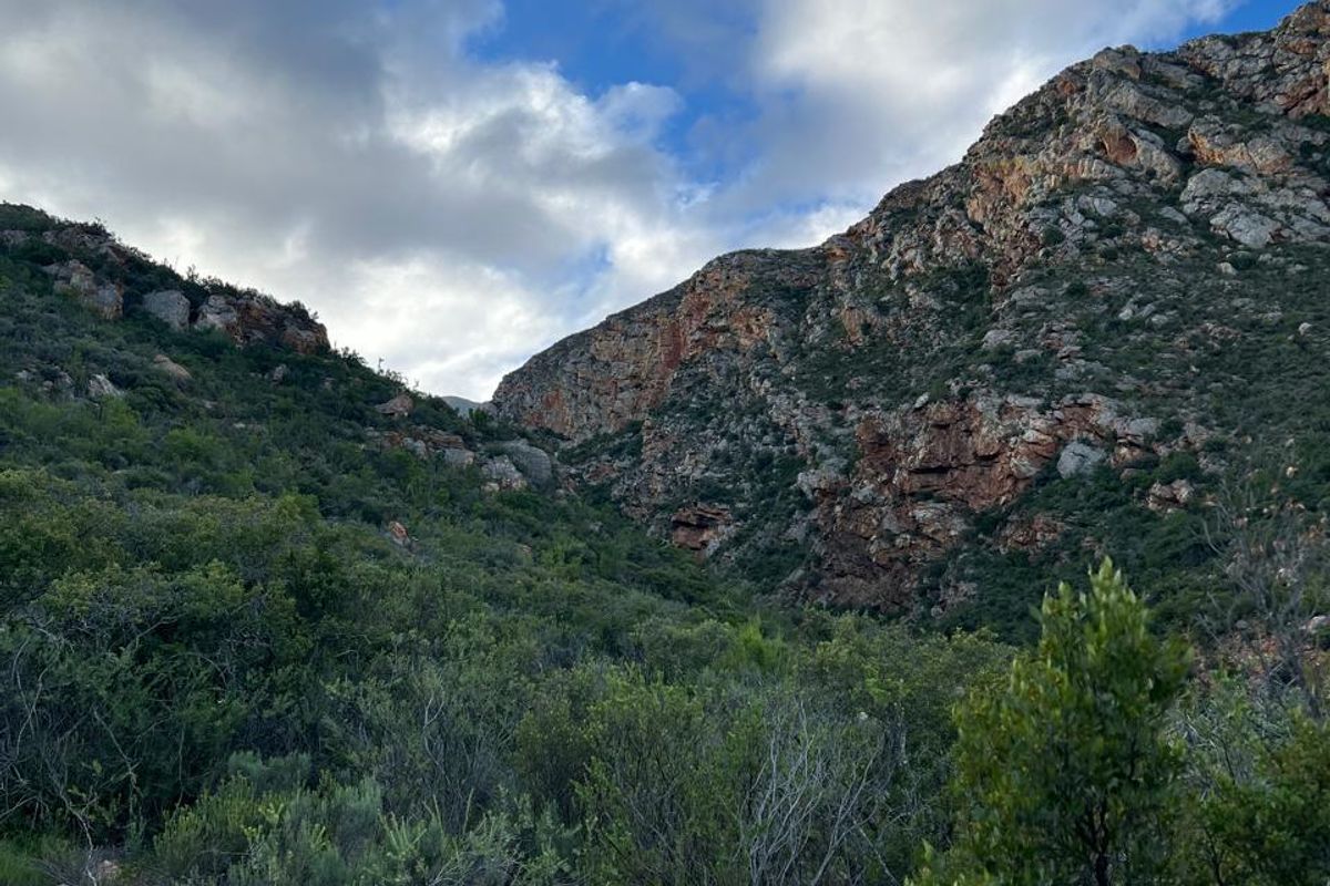 Vacant Land For Sale in Ladismith Rural, Ladismith - Photo 3