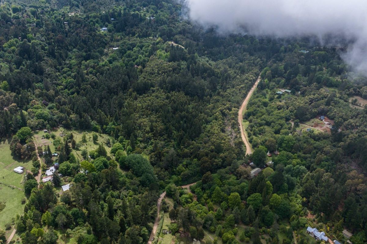 Vacant Land For Sale in Hogsback - Photo 5