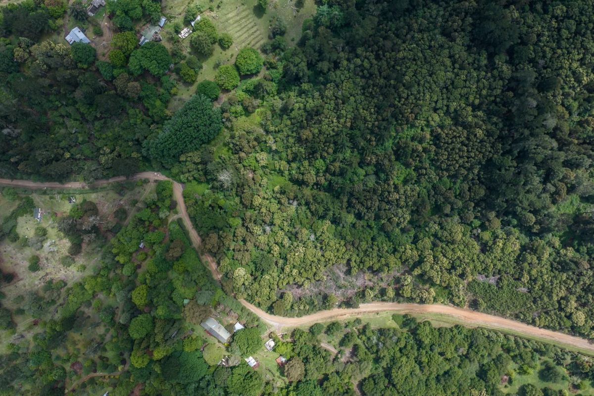 Vacant Land For Sale in Hogsback - Photo 2