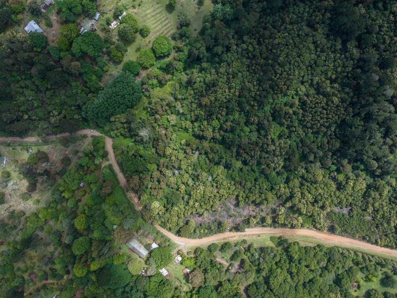 Vacant Land For Sale in Hogsback - Photo 2