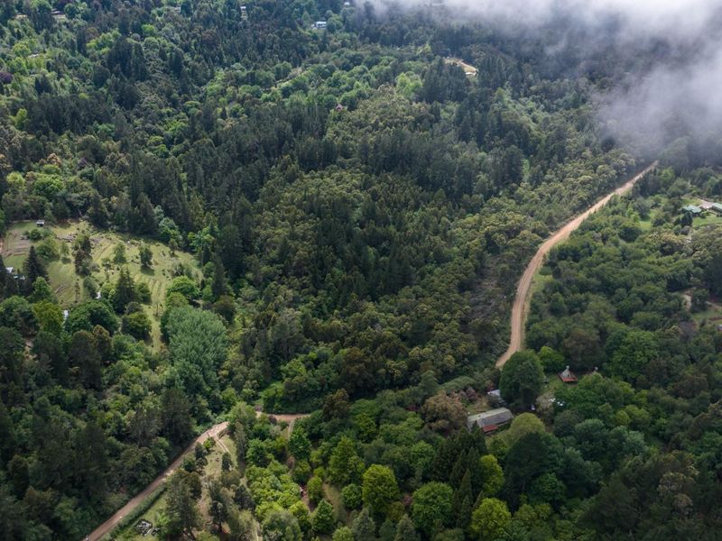 Vacant Land For Sale in Hogsback - Photo 9