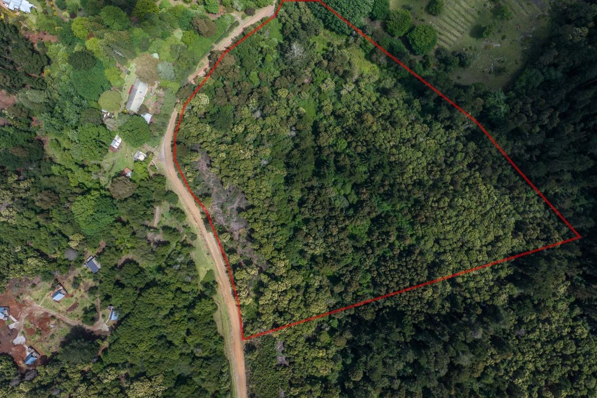 Vacant Land For Sale in Hogsback - Photo 3