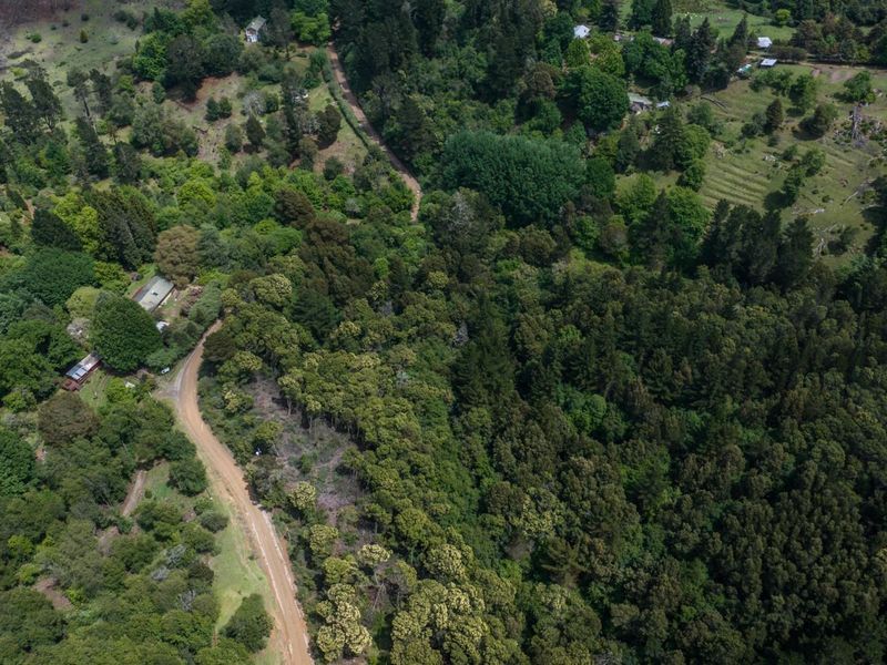 Vacant Land For Sale in Hogsback - Photo 4