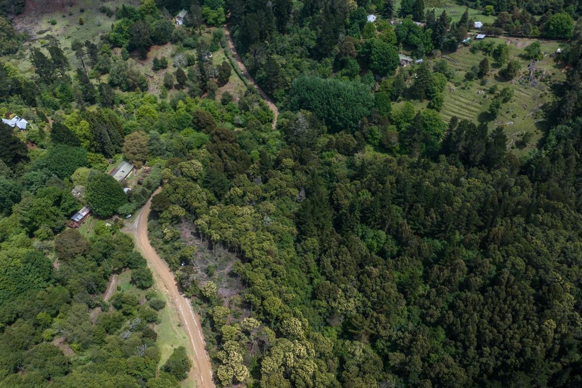 Vacant Land For Sale in Hogsback - Photo 4