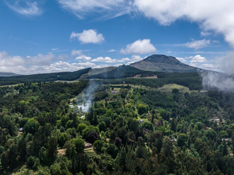 Vacant Land For Sale in Hogsback - Photo 10