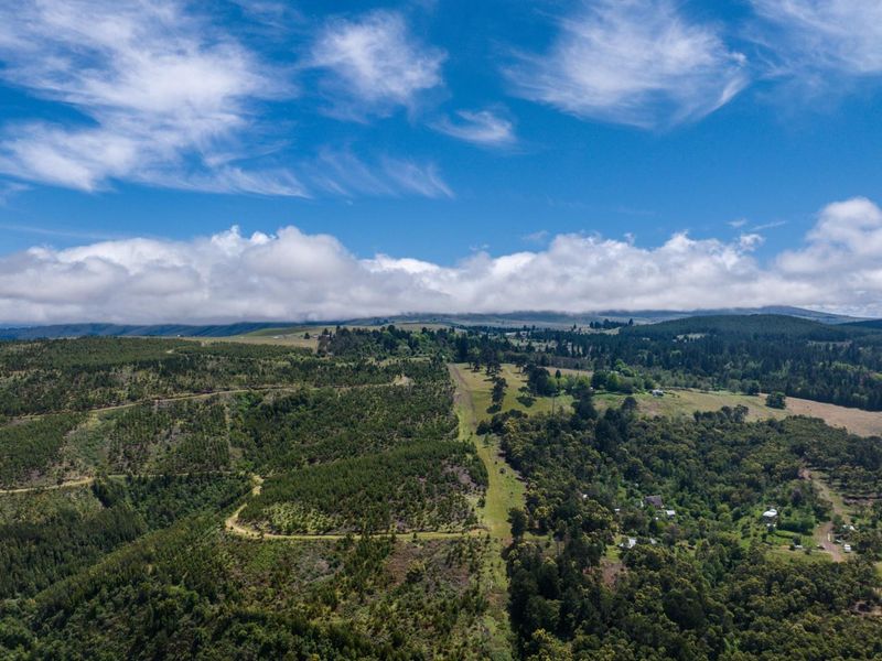 Vacant Land For Sale in Hogsback - Photo 8