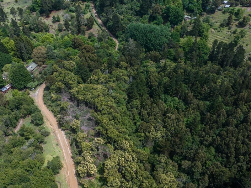 Vacant Land For Sale in Hogsback - Photo 7