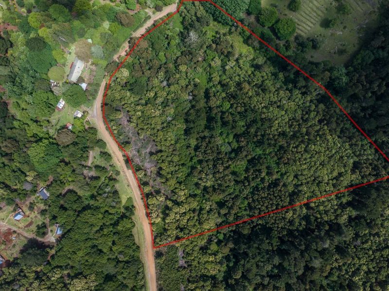Vacant Land For Sale in Hogsback - Photo 1