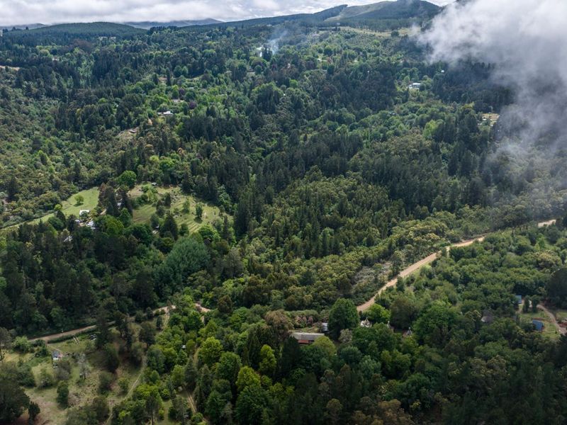 Vacant Land For Sale in Hogsback - Photo 9