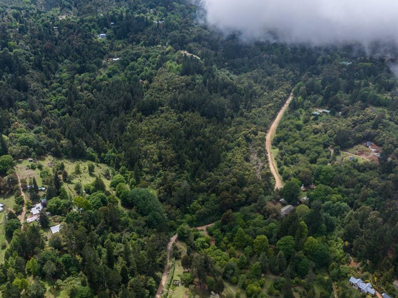 Vacant Land For Sale in Hogsback - Photo 6