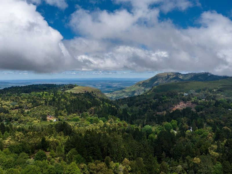 Vacant Land For Sale in Hogsback - Photo 2