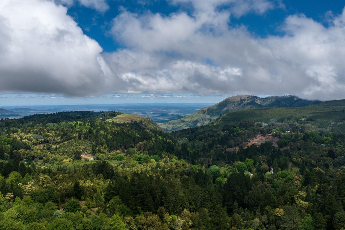 Vacant Land For Sale in Hogsback - Photo 2