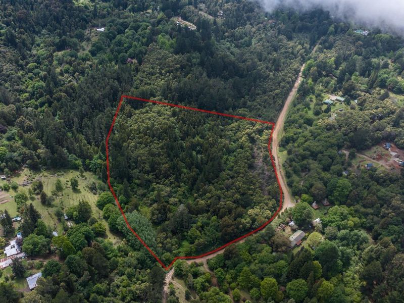 Vacant Land For Sale in Hogsback - Photo 3