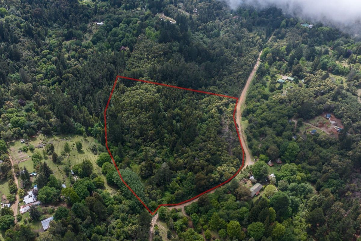 Vacant Land For Sale in Hogsback - Photo 3