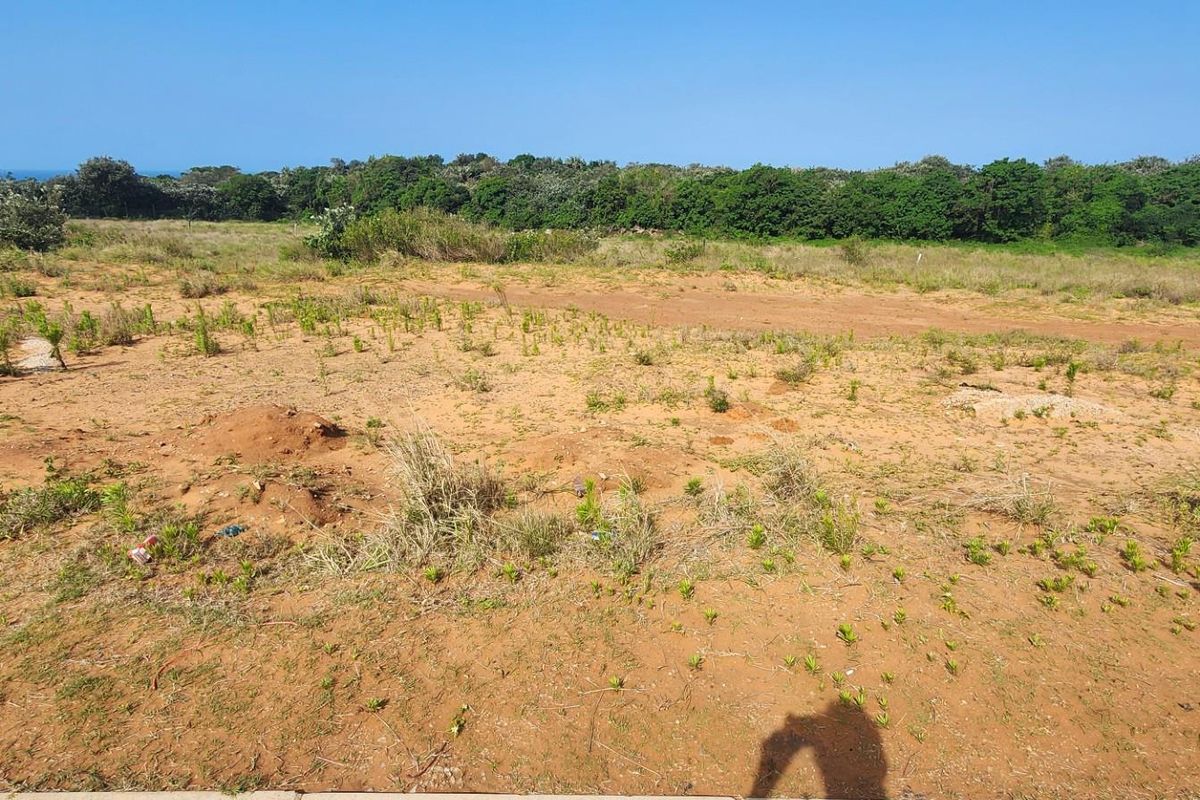 A vacant residential plot featuring natural vegetation and open land, offering a blank canvas for future development.