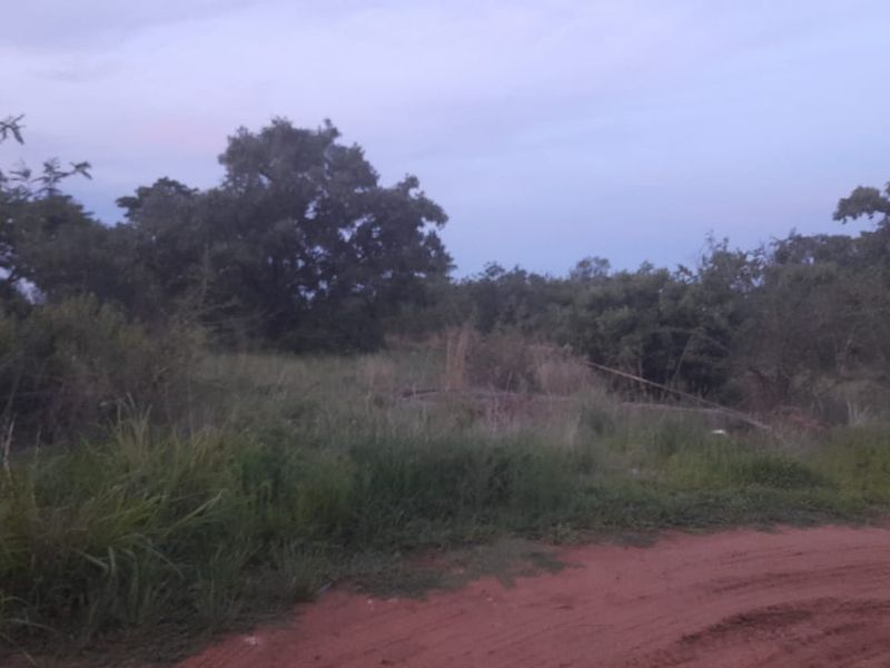 Vacant Land For Sale in Pretoria North, Pretoria - Photo 3