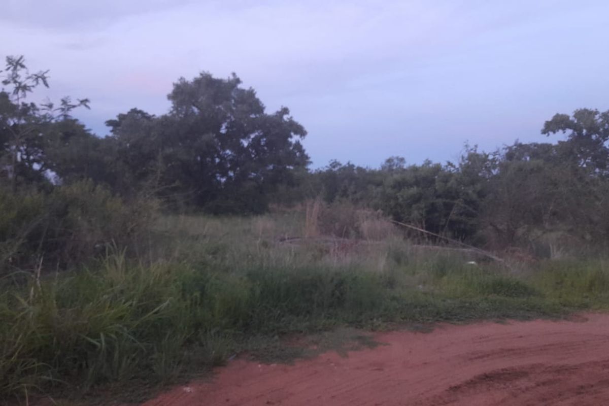 Vacant Land For Sale in Pretoria North, Pretoria - Photo 3