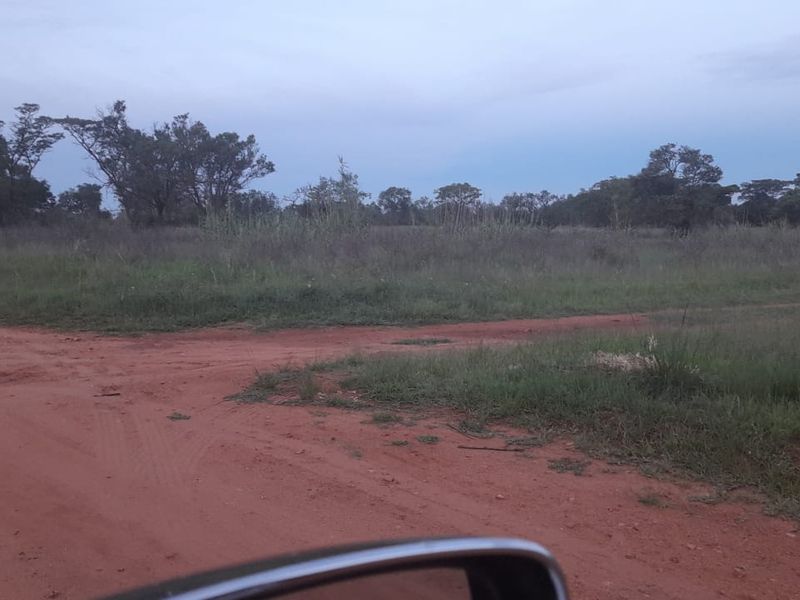 Vacant Land For Sale in Pretoria North, Pretoria - Photo 5