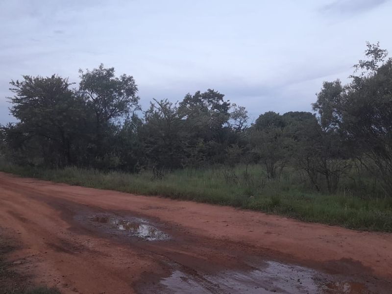 Vacant Land For Sale in Pretoria North, Pretoria - Photo 3