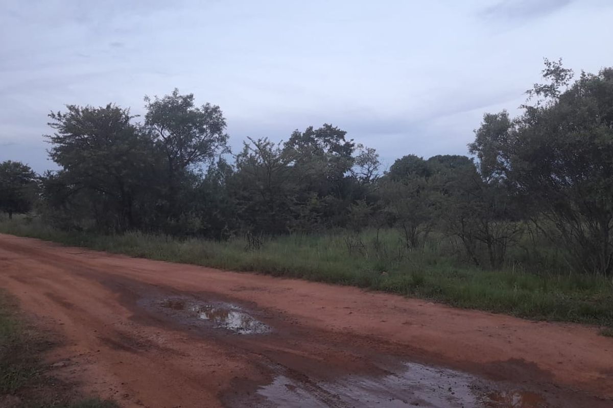 Vacant Land For Sale in Pretoria North, Pretoria - Photo 3