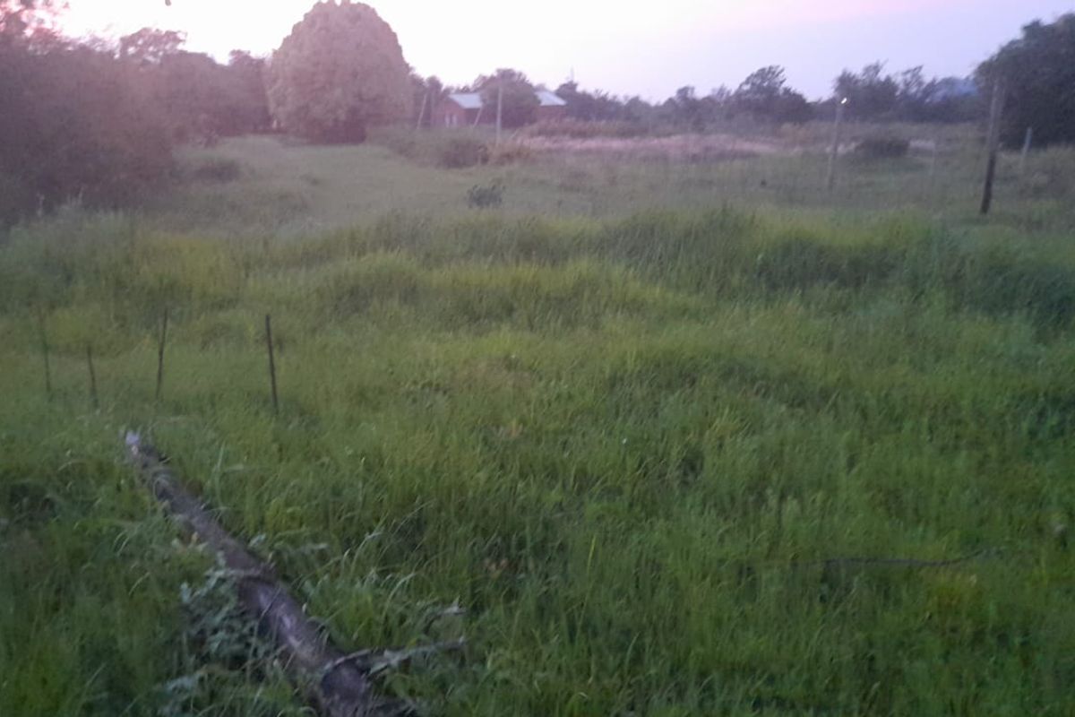 Vacant Land For Sale in Pretoria North Pretoria Gauteng - Photo 2