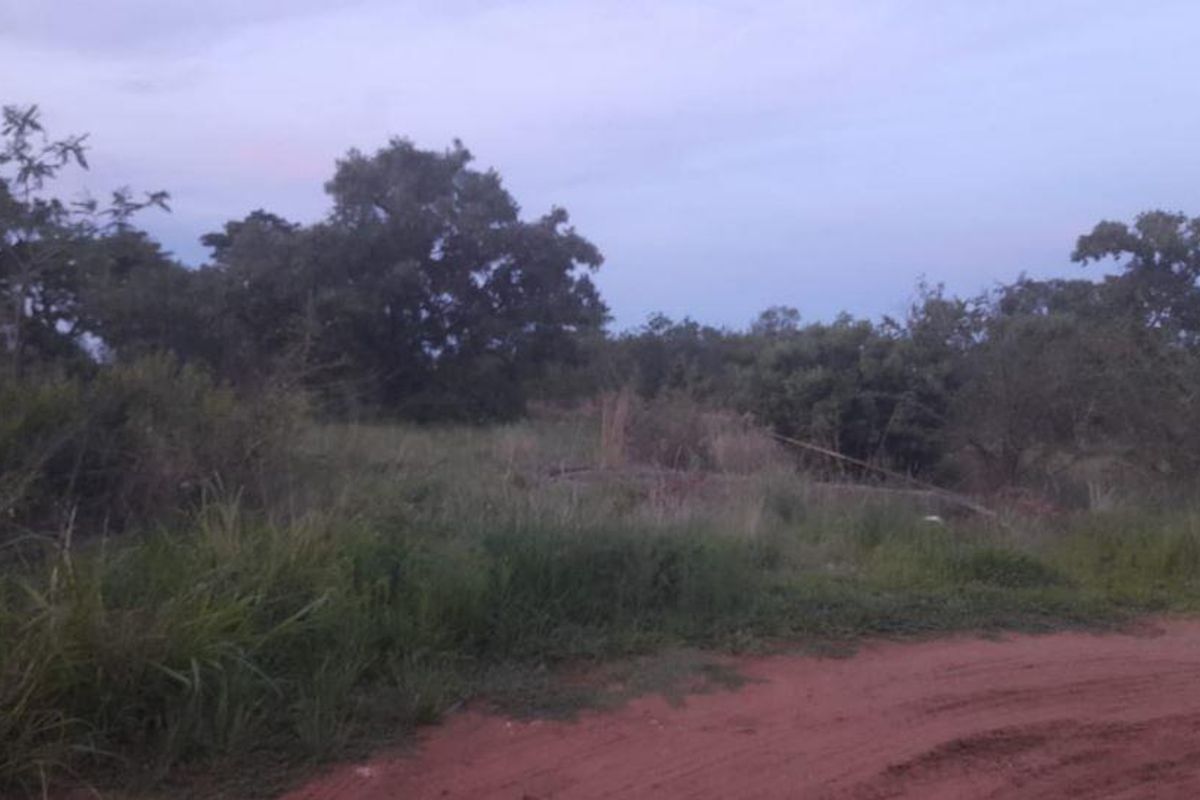 Vacant Land For Sale in Pretoria North, Pretoria - Photo 2