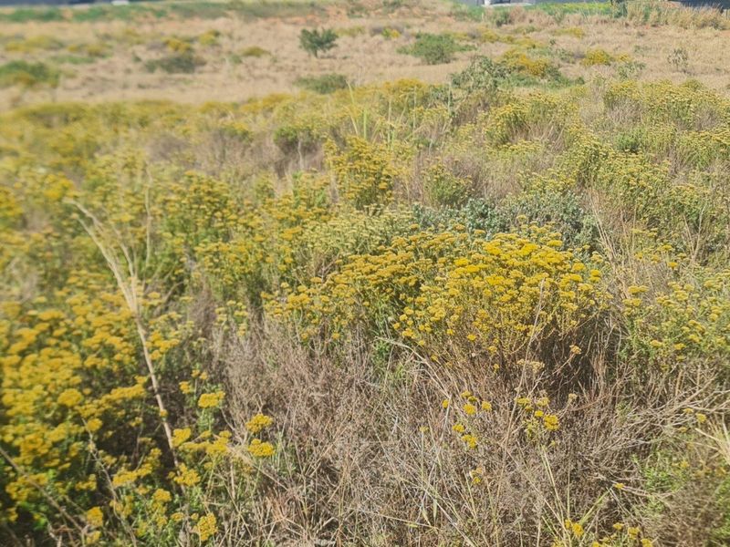 Vacant Land For Sale in Sheffield Beach, Ballito, KwaZulu Natal - Photo 10