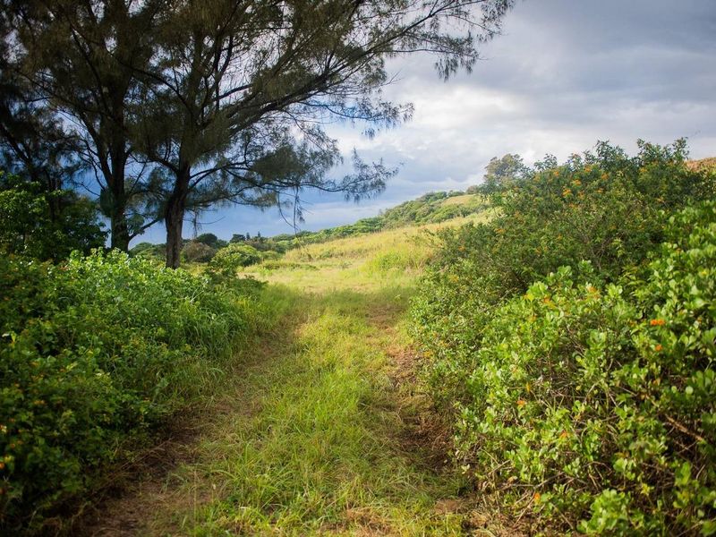 Vacant Land For Sale in Sheffield Beach, Ballito, KwaZulu Natal - Photo 7