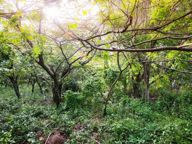 Vacant Land For Sale in Sheffield Beach, Ballito, KwaZulu Natal - Photo 5