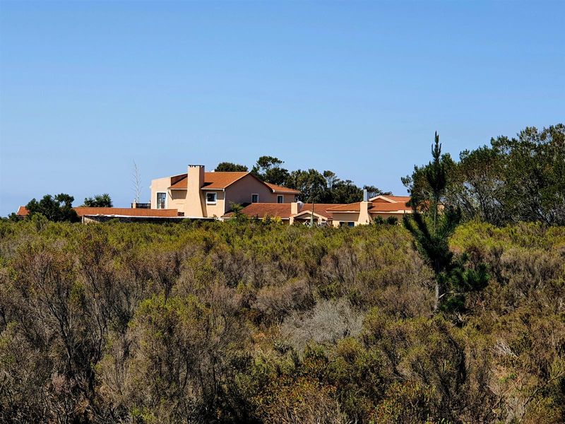 Aalwyndal Smallholding: Existing Infrastructure with Exceptional Development Upside - Photo 2