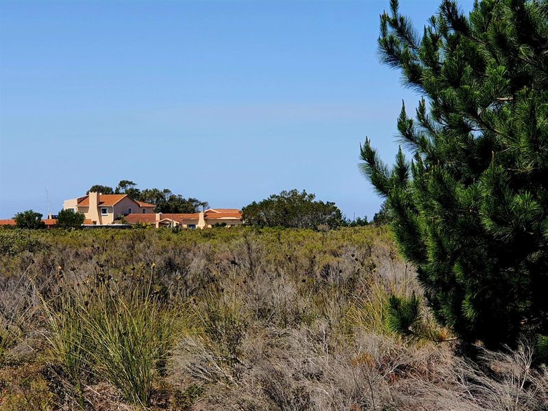 Aalwyndal Smallholding: Existing Infrastructure with Exceptional Development Upside - Photo 3