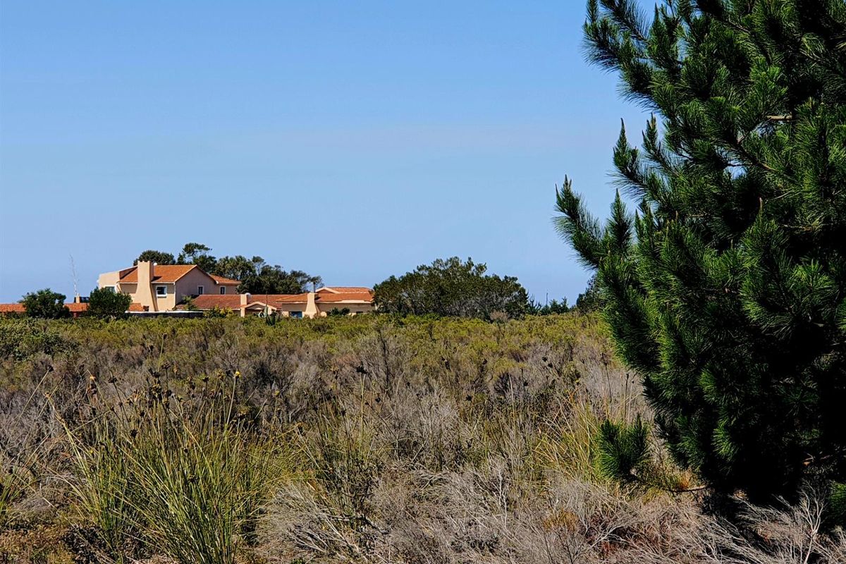 Aalwyndal Smallholding: Existing Infrastructure with Exceptional Development Upside - Photo 3