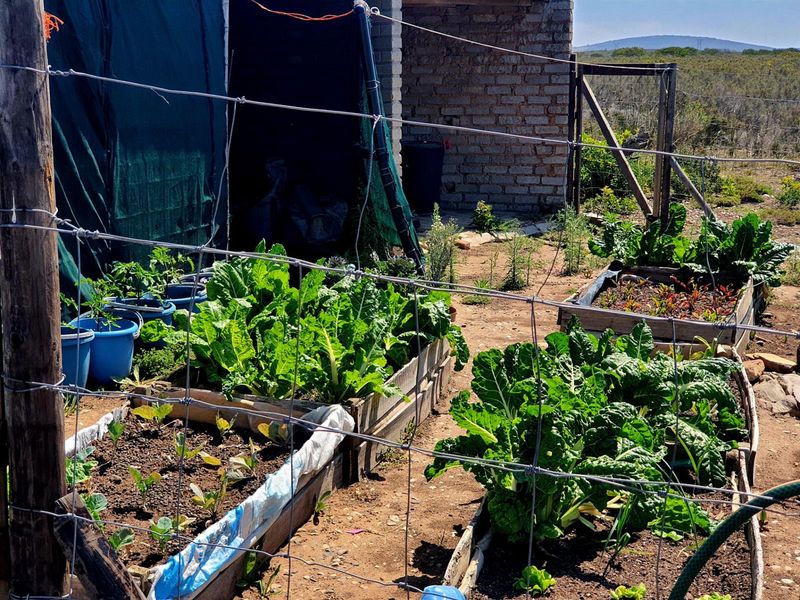 Aalwyndal Smallholding: Existing Infrastructure with Exceptional Development Upside - Photo 9