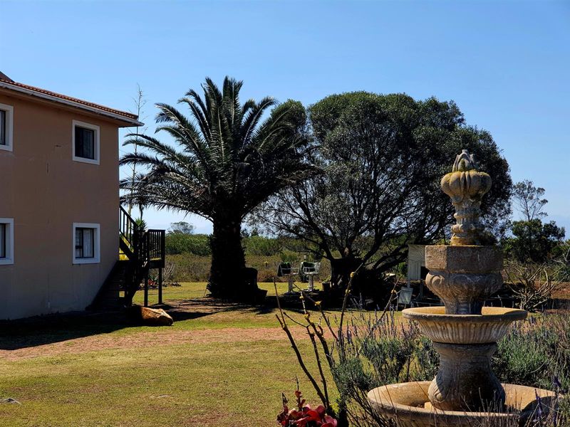 Aalwyndal Smallholding: Existing Infrastructure with Exceptional Development Upside - Photo 8