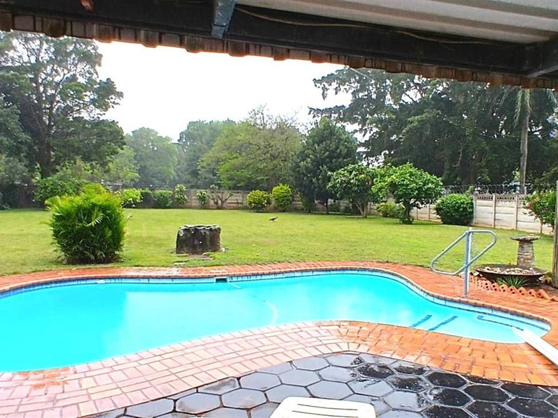 A spacious backyard featuring a swimming pool with brick paving, surrounded by a lush lawn and established garden greenery.