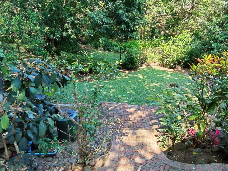 A lush, established garden featuring a brick-paved pathway leading into a dense, green backyard area with mature trees and shrubs.