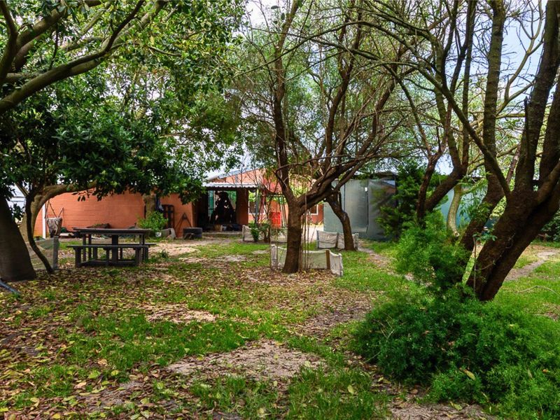 Thriving High-Yield Veg Farm - Turnkey Infrastructure - Est. Retail Clients - 50km from Cape Town - Photo 7