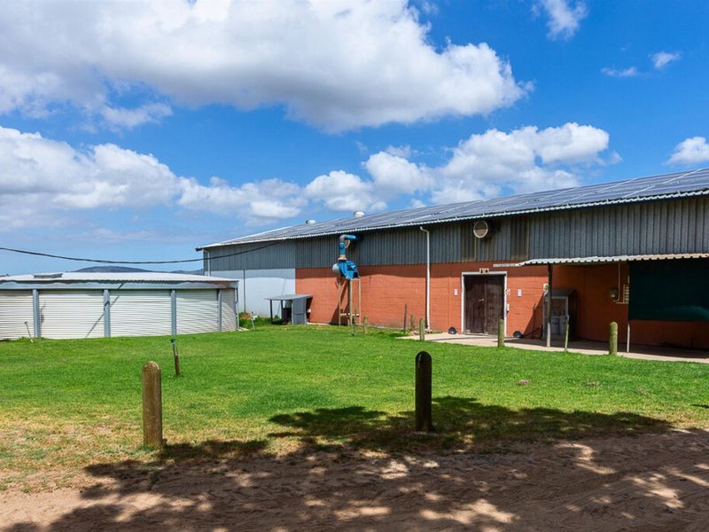 Thriving High-Yield Veg Farm - Turnkey Infrastructure - Est. Retail Clients - 50km from Cape Town - Photo 3