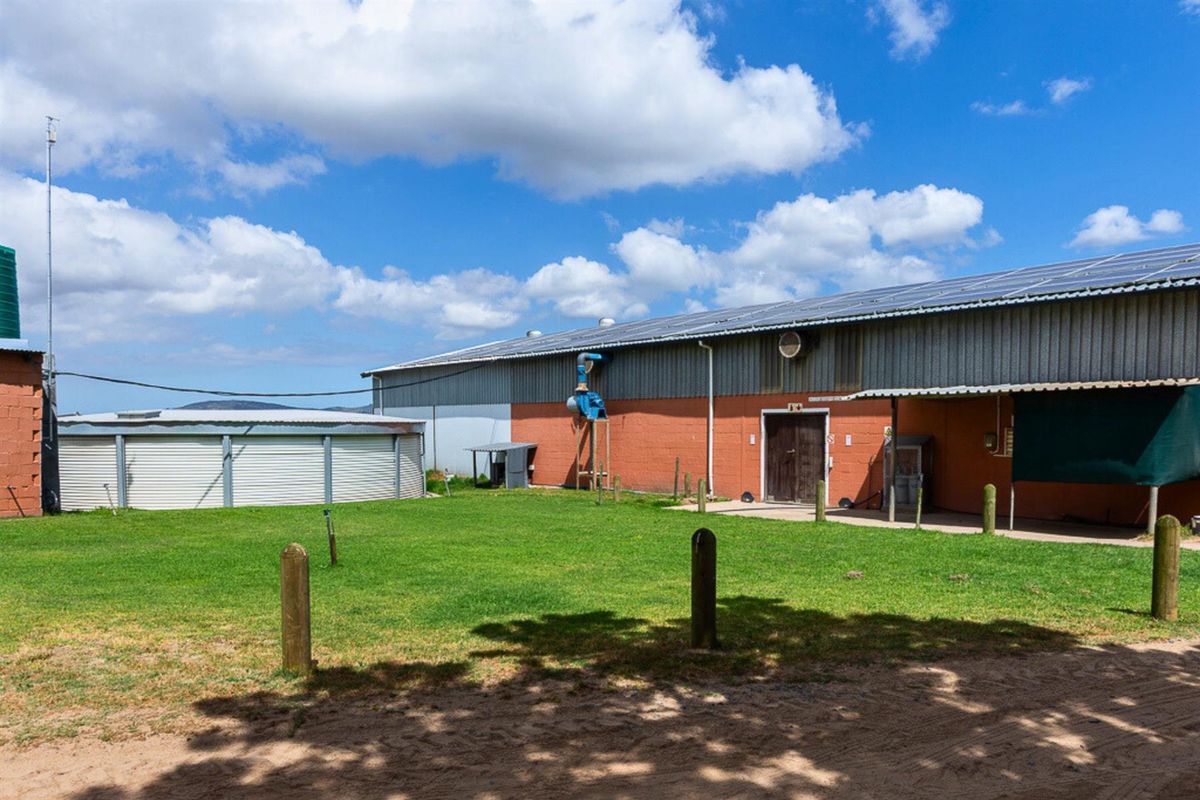 Thriving High-Yield Veg Farm - Turnkey Infrastructure - Est. Retail Clients - 50km from Cape Town - Photo 3