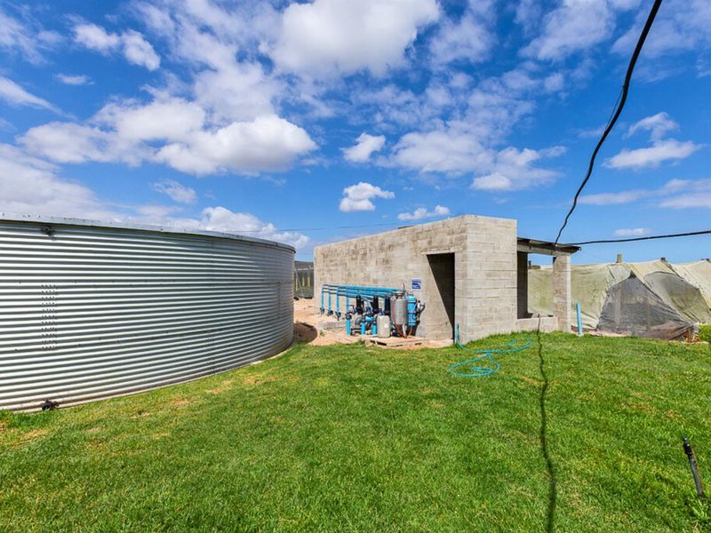 Thriving High-Yield Veg Farm - Turnkey Infrastructure - Est. Retail Clients - 50km from Cape Town - Photo 4
