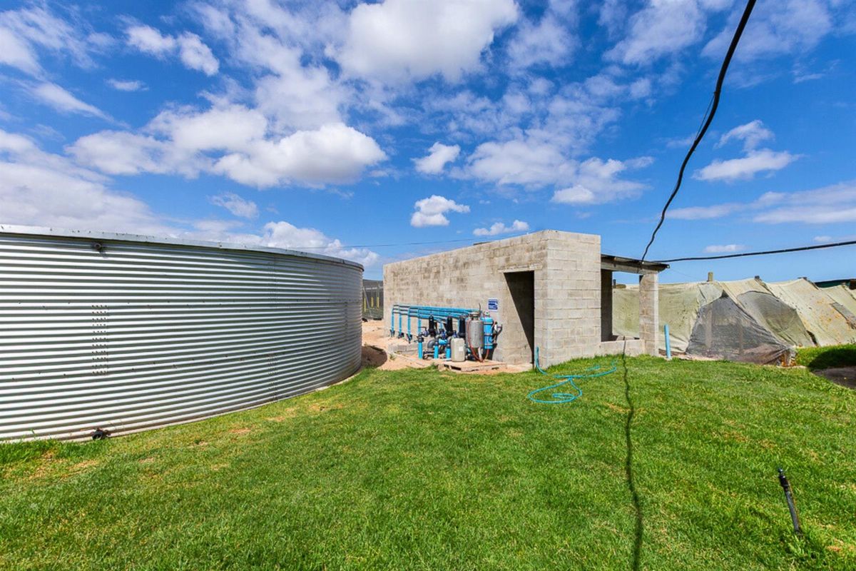 Thriving High-Yield Veg Farm - Turnkey Infrastructure - Est. Retail Clients - 50km from Cape Town - Photo 4