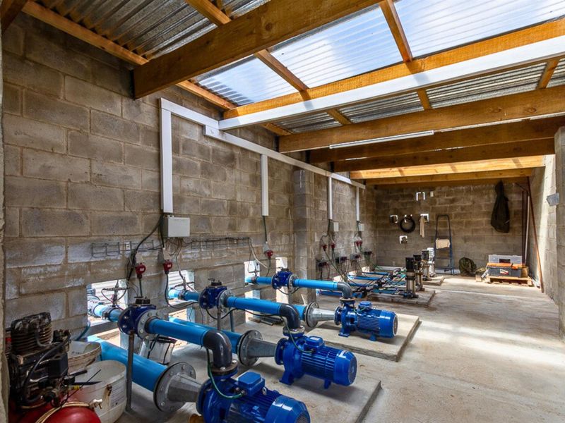 Thriving High-Yield Veg Farm - Turnkey Infrastructure - Est. Retail Clients - 50km from Cape Town - Photo 6