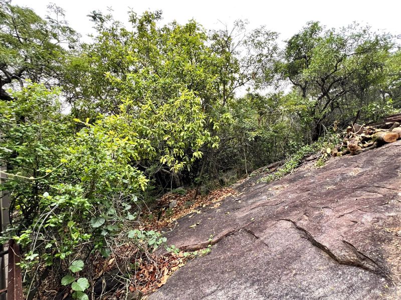 Vacant stand in Sonheuwel Ext1 - Photo 6