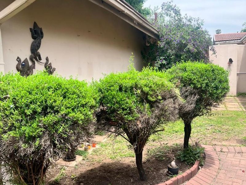 House For Sale in Arborpark, Newcastle, KwaZulu Natal - Photo 7