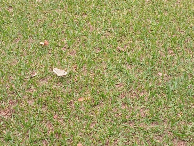 Vacant land for sale - Photo 3