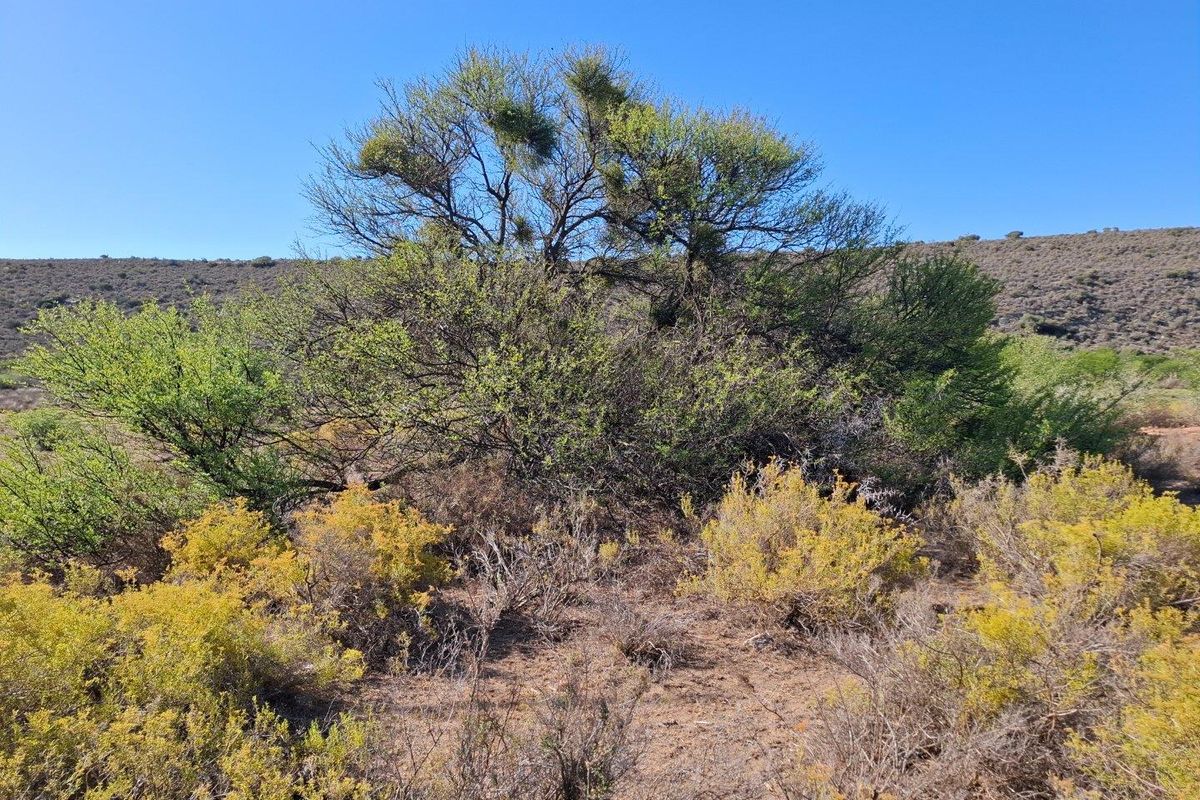 Farm For Sale in Riversdale Rural, Riversdale - Photo 5